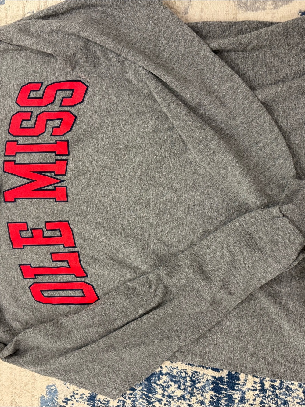 Gray Sweatshirt with Red Lettering - Women